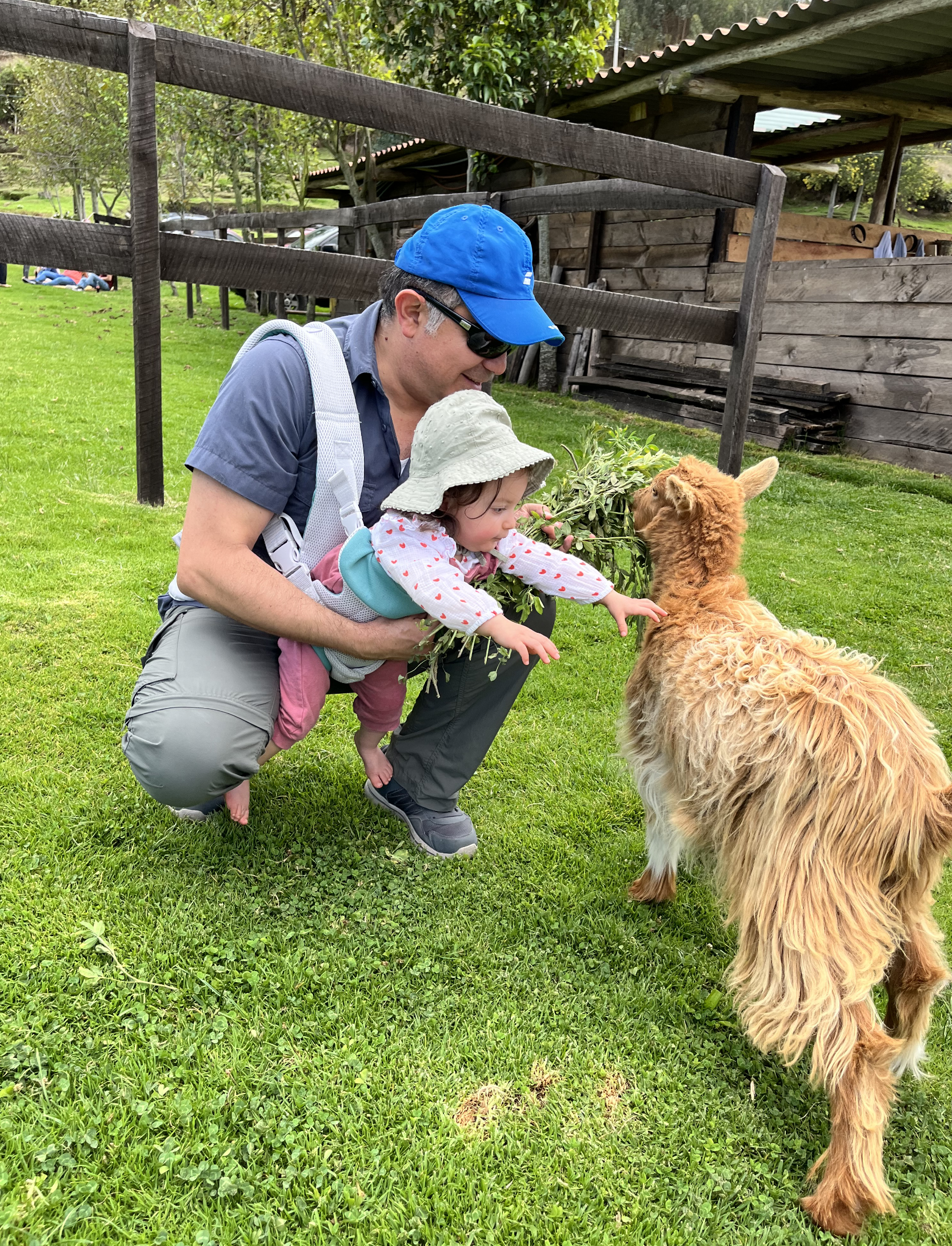 Mini’s Farm